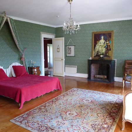 Chateau De La Voute Trôo Buitenkant foto